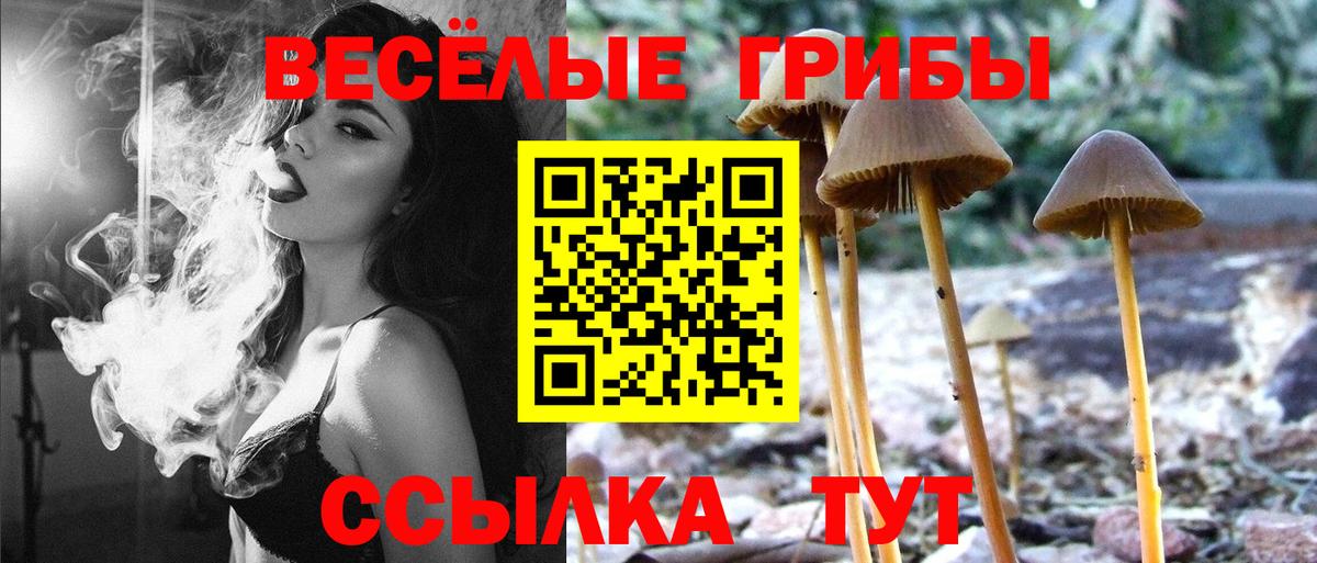 Псилоцибиновые грибы мицелий  Вход с VPN  где можно купить наркотик  Вятские Поляны  Галлюциногенные грибы Magic Shrooms 